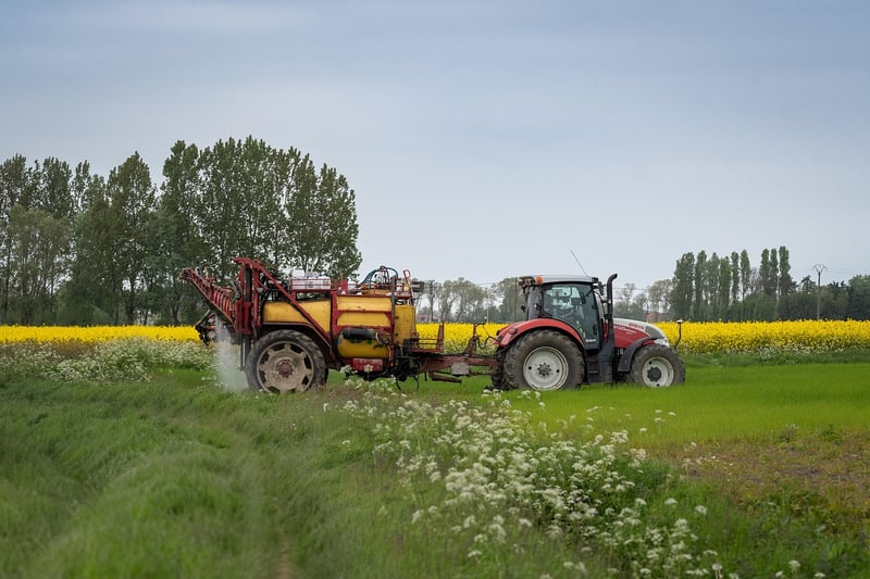 Farm-to-Table Dining