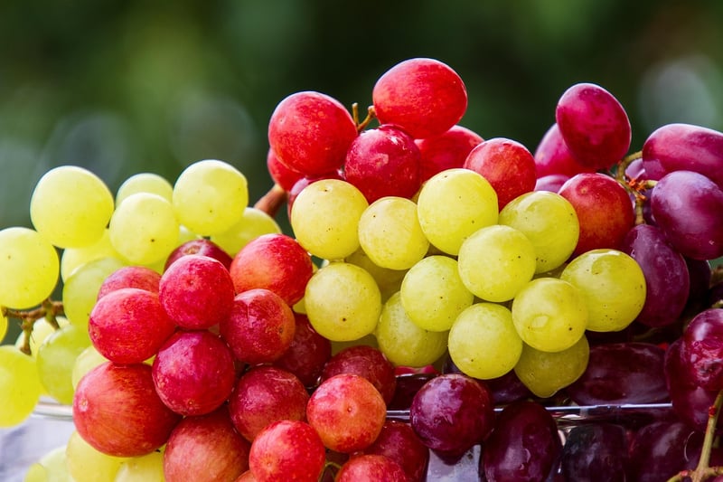 Wine Pairing Image
